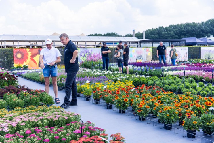 Aftellen tot FlowerTrials