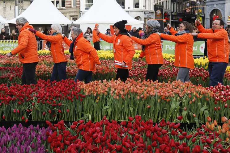 Tulpendag: Let's Dance!