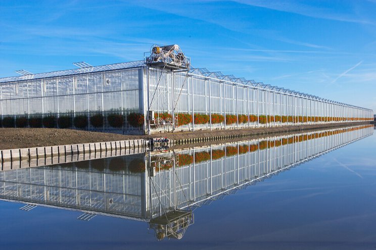 10 oktober: Water- en PlantgezondheidEvent