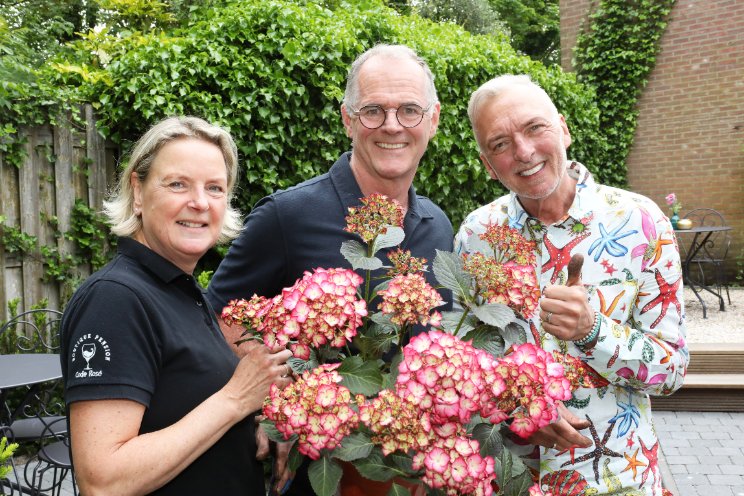 Hortensia geeft kleur aan pension Meilandjes