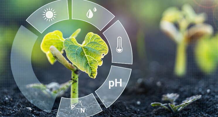 Project voor nieuwe generatie IoT-systemen plantenteelt