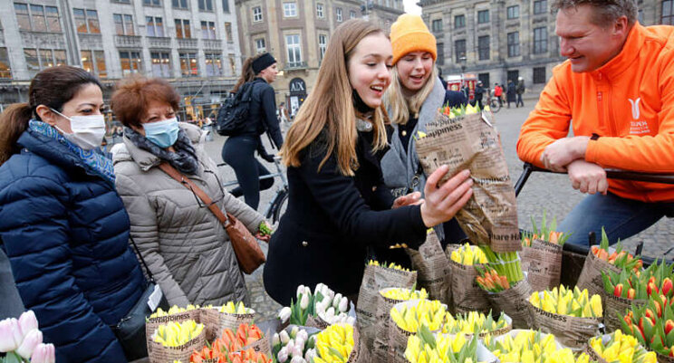 Tulpen als symbool voor positiviteit en vrolijkheid