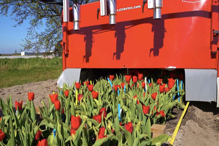 Computer leert virussen in tulpen herkennen