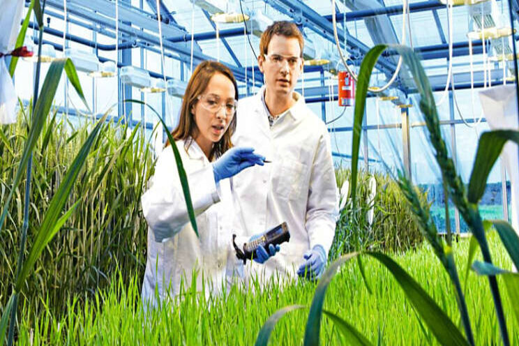 Lichte omzetplus in 2020 voor Bayer Crop Science